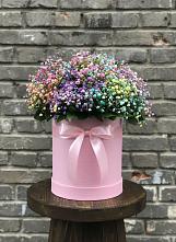 Цветочная композиция из Гипсофила и Розы в шляпной коробке в Карагаче