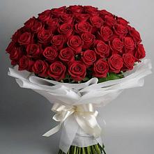 Букет 101 Красная роза Блэк Мэджик в Карагаче