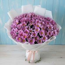 Букет цветов из:  Хризантемы в Карагаче