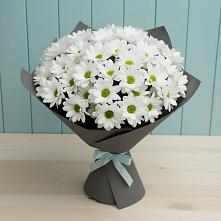 Букет цветов из:  Хризантемы #REPLACE_PRED# Карагаче