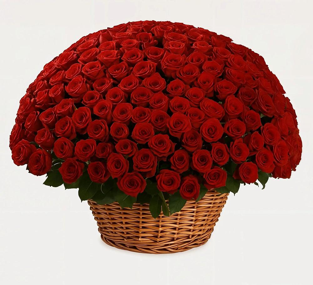 Премиум букет из: Розы в Карагаче