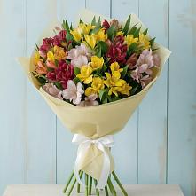 Букет цветов из:  Альстромерии в Карагаче