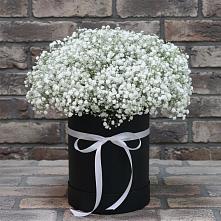 Цветочная композиция из Гипсофила в шляпной коробке в Карагаче