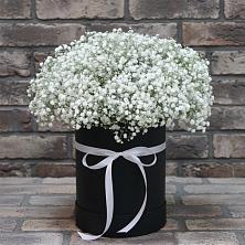 Цветочная композиция из Гипсофила в шляпной коробке в Карагаче