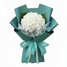 Букет цветов из:  Гортензия в Карагаче